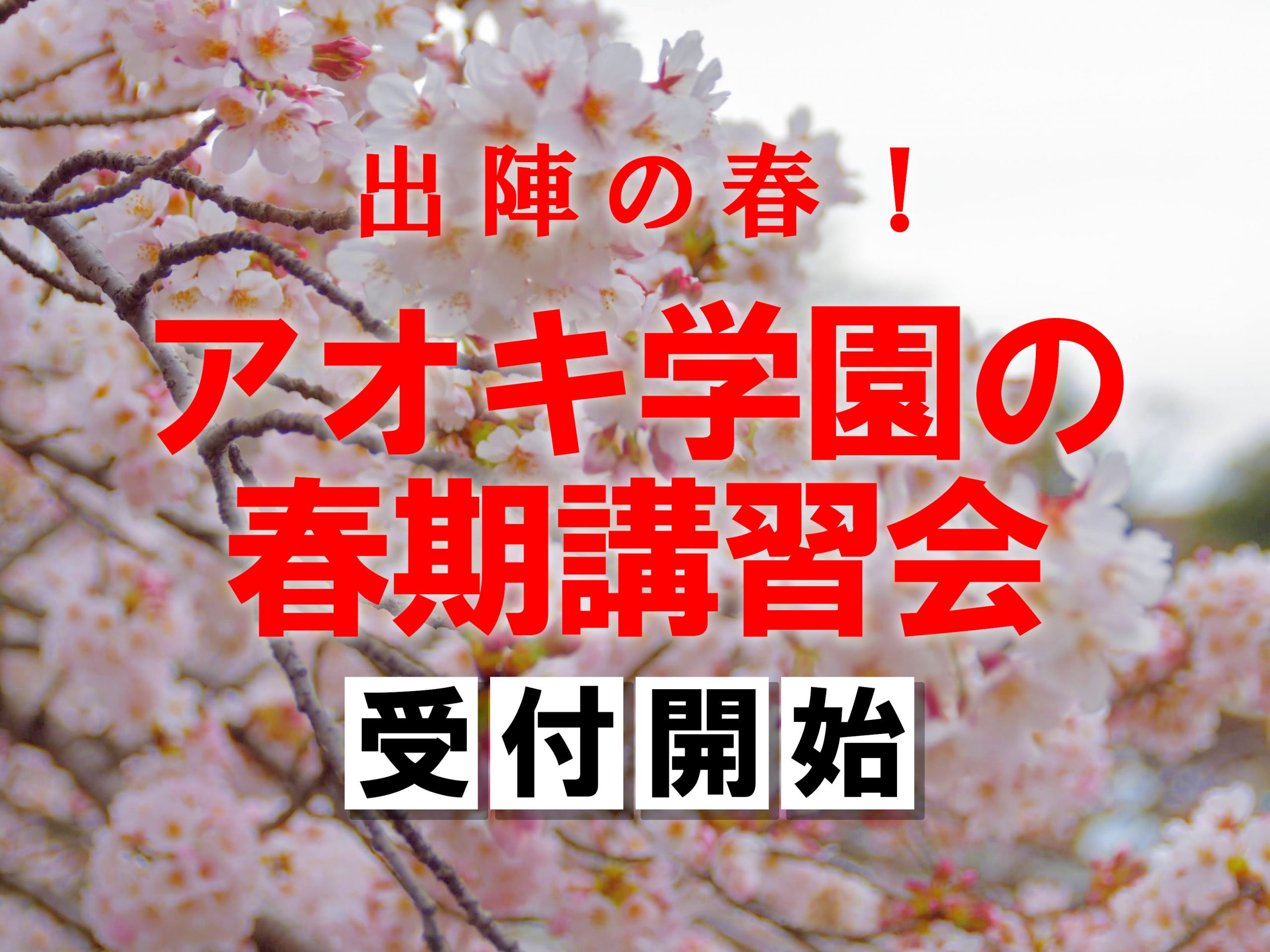 [5・６年生　春期講習から始める中学受験講座」開講！の画像